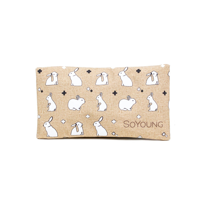 Pack de glace SoYoung