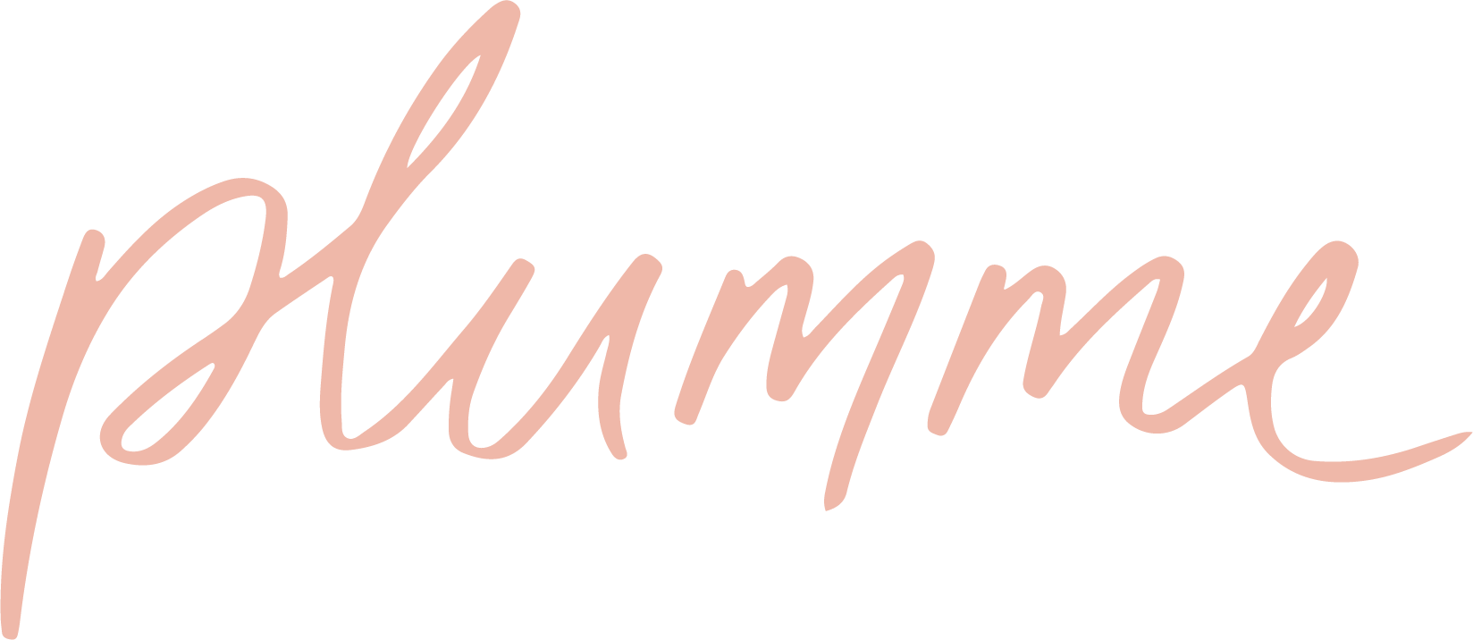 Boite Plumme