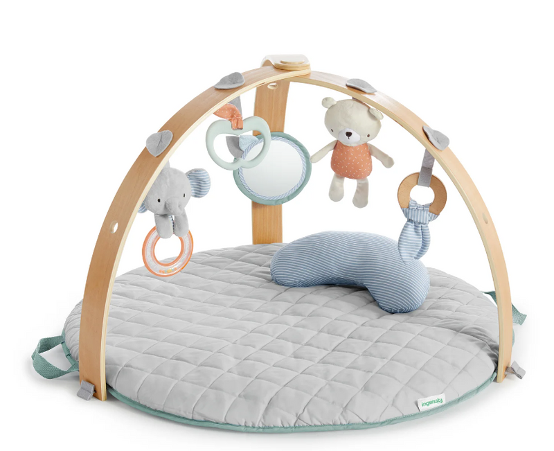 Ingenuity | Cozy Spot™ Reversible Duvet Gym Loamy™ - Plumme Box