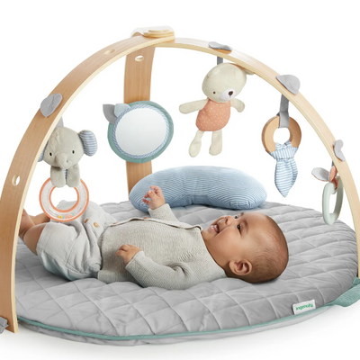 Ingenuity | Cozy Spot™ Reversible Duvet Gym Loamy™ - Plumme Box