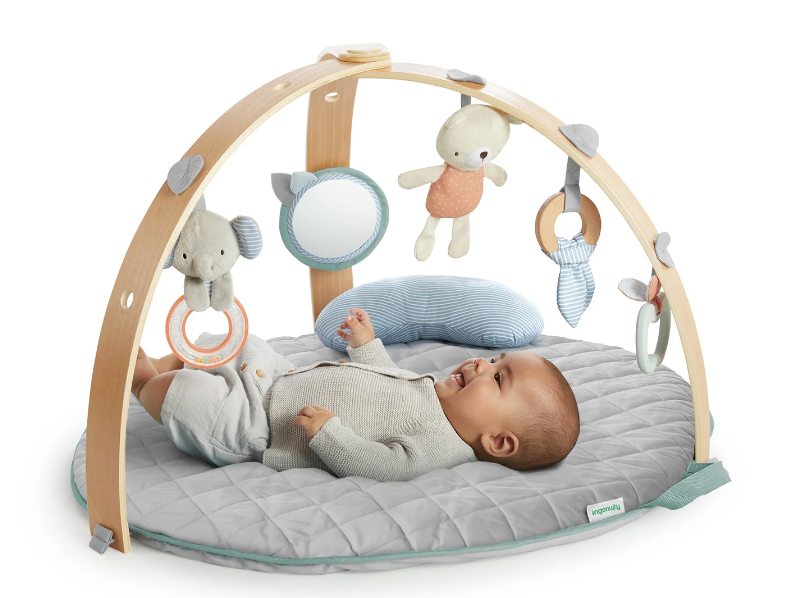 Ingenuity | Cozy Spot™ Reversible Duvet Gym Loamy™ - Plumme Box