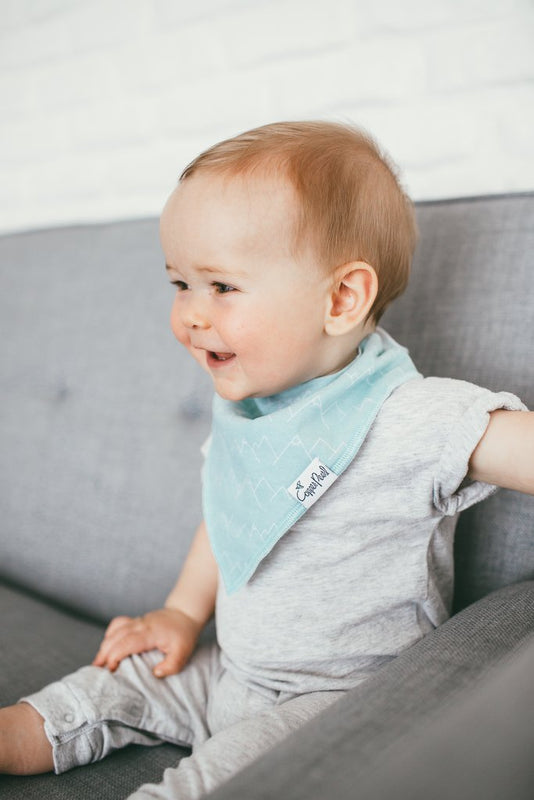 Archer Bandana Bibs